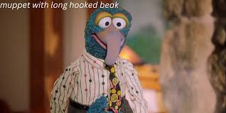 Muppet with Long Hooked Beak